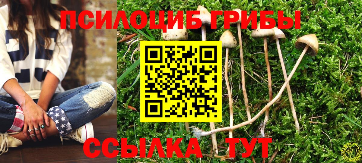 Галлюциногенные грибы мицелий  Псилоцибиновые грибы мухоморы  Кингисепп  Вход с VPN 
