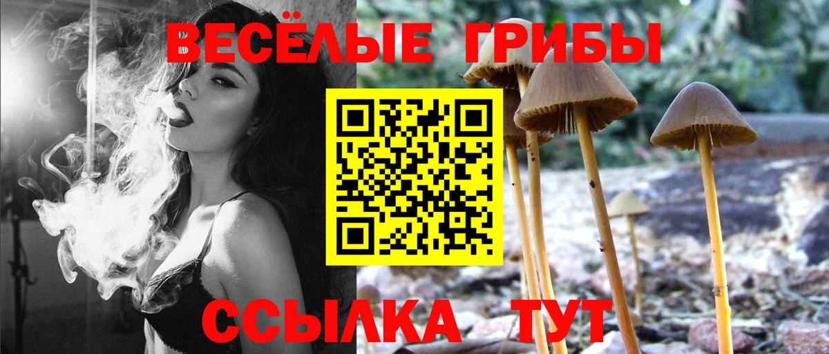 Галлюциногенные грибы мухоморы Кингисепп
