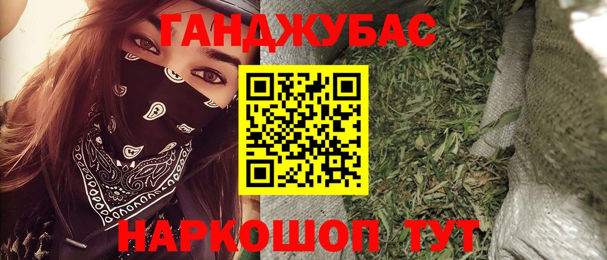 Каннабис сатива Кингисепп